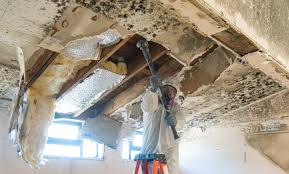 Best Mold Prevention Services  in River Falls, WI